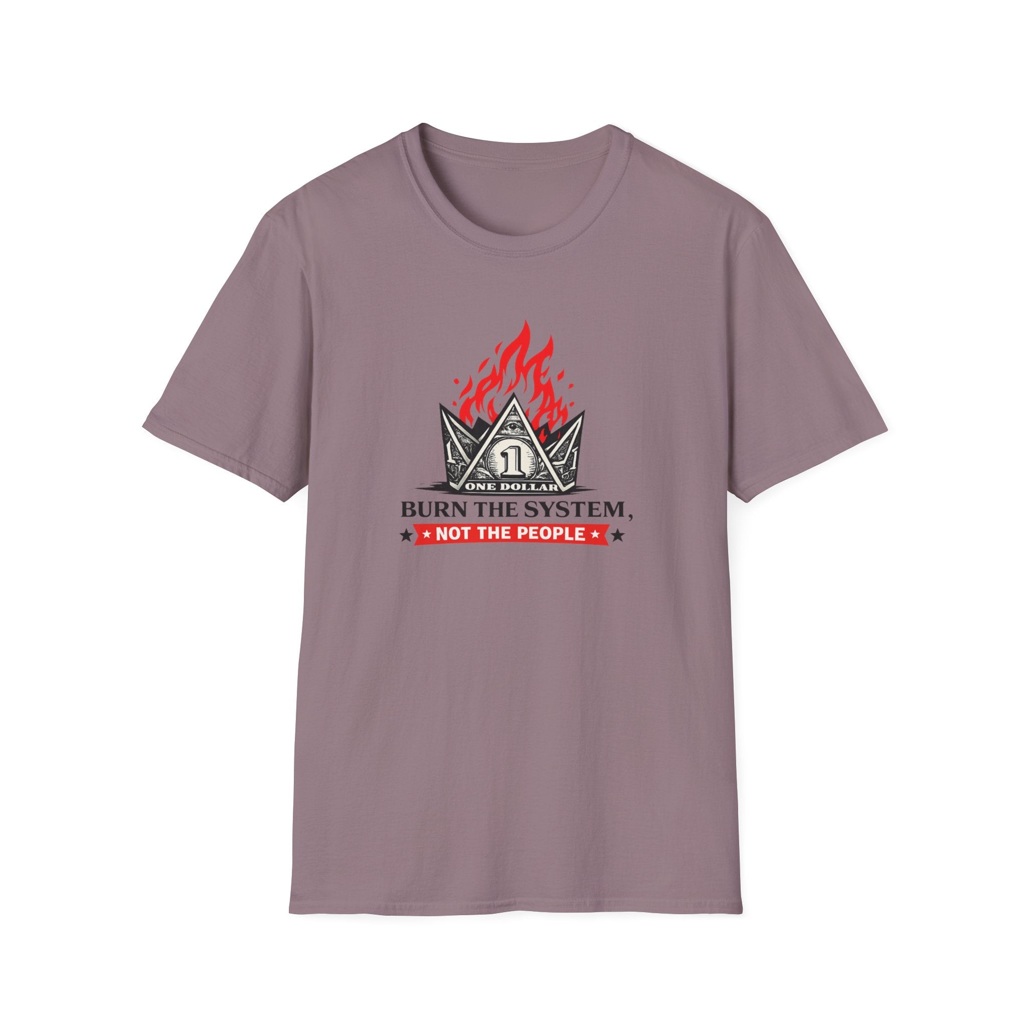 Burn the System Dollar Tee